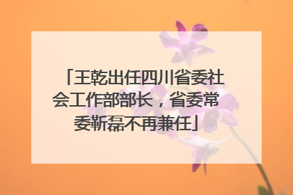 王乾出任四川省委社会工作部部长，省委常委靳磊不再兼任