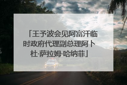 王予波会见阿富汗临时政府代理副总理阿卜杜·萨拉姆·哈纳菲