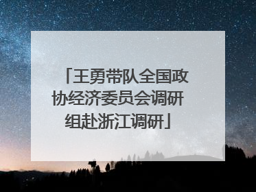 王勇带队全国政协经济委员会调研组赴浙江调研