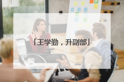 王学勤，升副部
