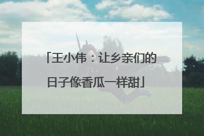 王小伟：让乡亲们的日子像香瓜一样甜