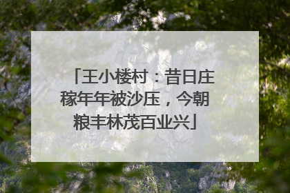 王小楼村：昔日庄稼年年被沙压，今朝粮丰林茂百业兴