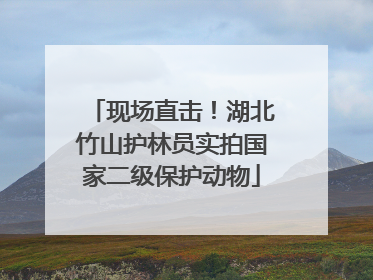 现场直击！湖北竹山护林员实拍国家二级保护动物