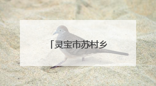 灵宝市苏村乡：做强做优特色农业产业