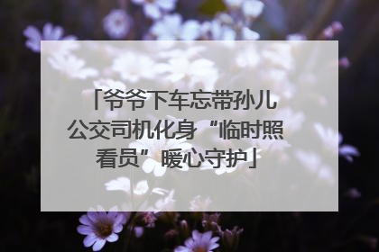 爷爷下车忘带孙儿 公交司机化身“临时照看员”暖心守护
