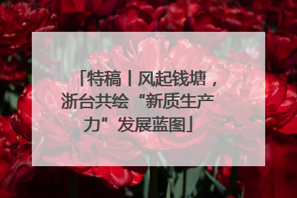 特稿丨风起钱塘，浙台共绘“新质生产力”发展蓝图