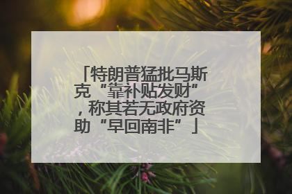 特朗普猛批马斯克“靠补贴发财”，称其若无政府资助“早回南非”