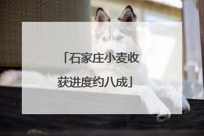 石家庄小麦收获进度约八成
