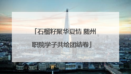 石榴籽聚华夏情 随州职院学子共绘团结卷
