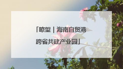 瞭望｜海南自贸港跨省共建产业园