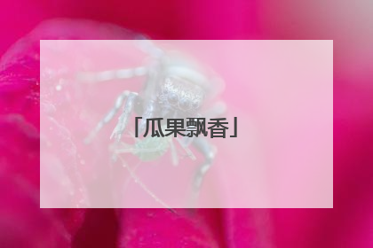 瓜果飘香