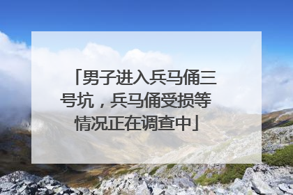 男子进入兵马俑三号坑，兵马俑受损等情况正在调查中