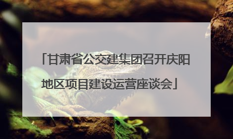 甘肃省公交建集团召开庆阳地区项目建设运营座谈会