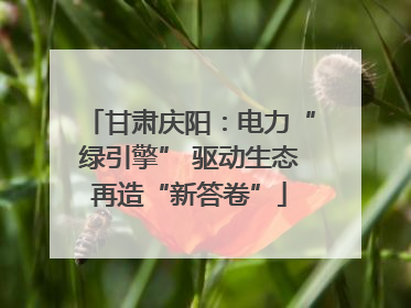甘肃庆阳：电力“绿引擎” 驱动生态再造“新答卷”