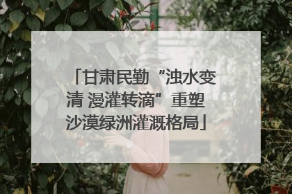 甘肃民勤“浊水变清 漫灌转滴”重塑沙漠绿洲灌溉格局