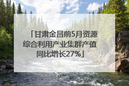 甘肃金昌前5月资源综合利用产业集群产值同比增长27%
