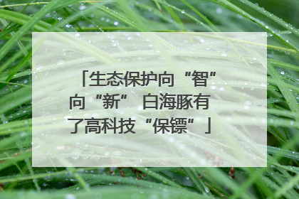 生态保护向“智”向“新” 白海豚有了高科技“保镖”