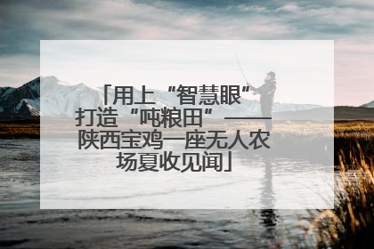 用上“智慧眼” 打造“吨粮田”——陕西宝鸡一座无人农场夏收见闻