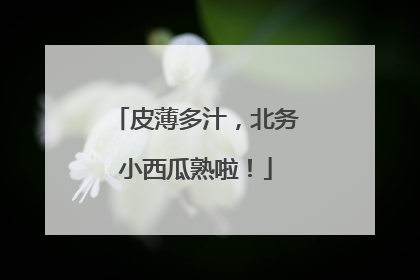 皮薄多汁，北务小西瓜熟啦！