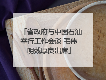 省政府与中国石油举行工作会谈 毛伟明戴厚良出席