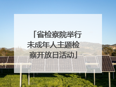 省检察院举行未成年人主题检察开放日活动