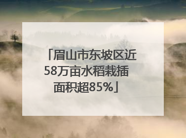眉山市东坡区近58万亩水稻栽插面积超85%