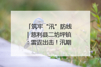 筑牢“汛”防线｜慈利县二坊坪镇：雷霆出击！汛期捕鱼被紧急叫停
