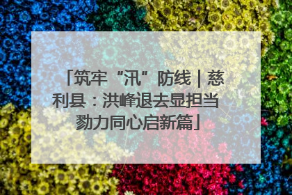 筑牢“汛”防线｜慈利县：洪峰退去显担当 勠力同心启新篇