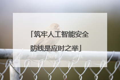 筑牢人工智能安全防线是应时之举