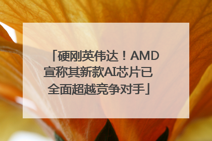 硬刚英伟达！AMD宣称其新款AI芯片已全面超越竞争对手