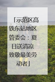 示范区高铁东站地区管委会：夏日送清凉 致敬最美劳动者
