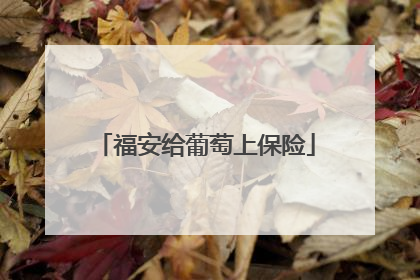 福安给葡萄上保险
