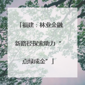 福建：林业金融新路径探索助力“点绿成金”