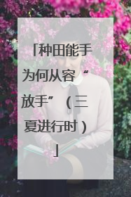种田能手为何从容“放手”（三夏进行时）