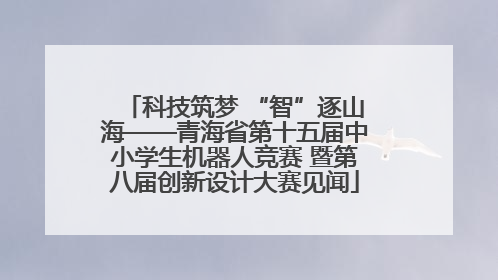 科技筑梦 “智”逐山海——青海省第十五届中小学生机器人竞赛 暨第八届创新设计大赛见闻