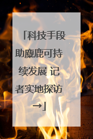 科技手段助麋鹿可持续发展 记者实地探访→
