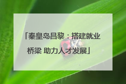 秦皇岛昌黎：搭建就业桥梁 助力人才发展