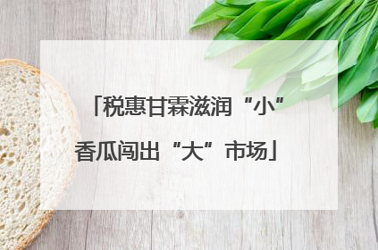 税惠甘霖滋润“小”香瓜闯出“大”市场