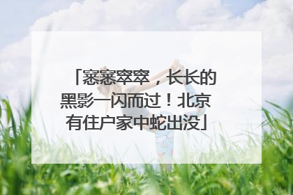 窸窸窣窣，长长的黑影一闪而过！北京有住户家中蛇出没