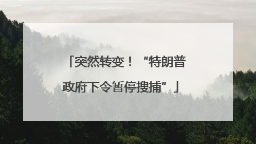 突然转变！“特朗普政府下令暂停搜捕”