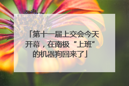 第十一届上交会今天开幕，在南极“上班”的机器狗回来了