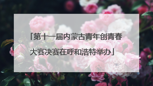 第十一届内蒙古青年创青春大赛决赛在呼和浩特举办
