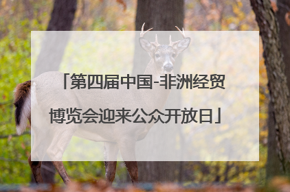 第四届中国-非洲经贸博览会迎来公众开放日