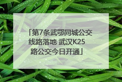 第7条武鄂同城公交线路落地 武汉K25路公交今日开通