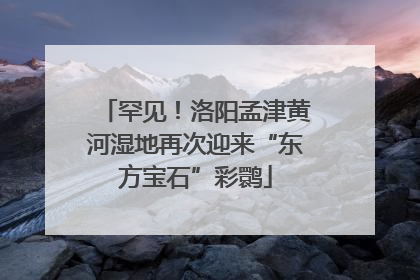 罕见！洛阳孟津黄河湿地再次迎来“东方宝石”彩鹮