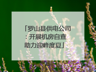 罗山县供电公司：开展机房自查 助力迎峰度夏
