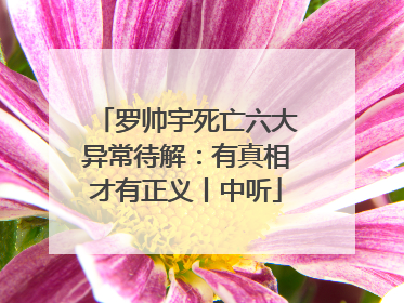 罗帅宇死亡六大异常待解：有真相才有正义丨中听