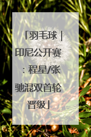 羽毛球｜印尼公开赛：程星/张驰混双首轮晋级