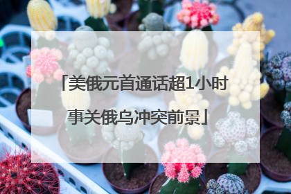 美俄元首通话超1小时 事关俄乌冲突前景