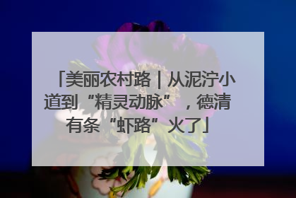 美丽农村路｜从泥泞小道到“精灵动脉”，德清有条“虾路”火了